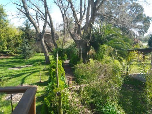 Foto de Terreno Lote en Venta en Castelli, Resto de la Provincia, Buenos Aires, imagen 2