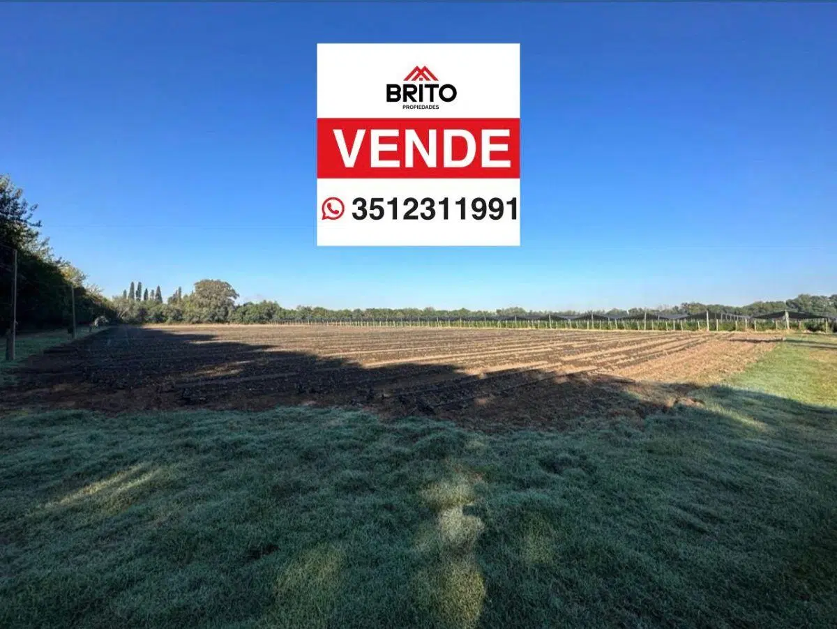 VENTA 9 HECTAREAS VILLA ESQUIU CAMINO A SANTA ROSA 1