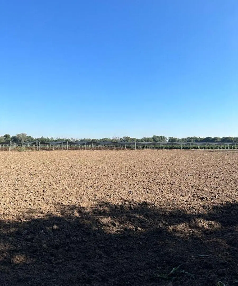 VENTA 9 HECTAREAS VILLA ESQUIU CAMINO A SANTA ROSA 4