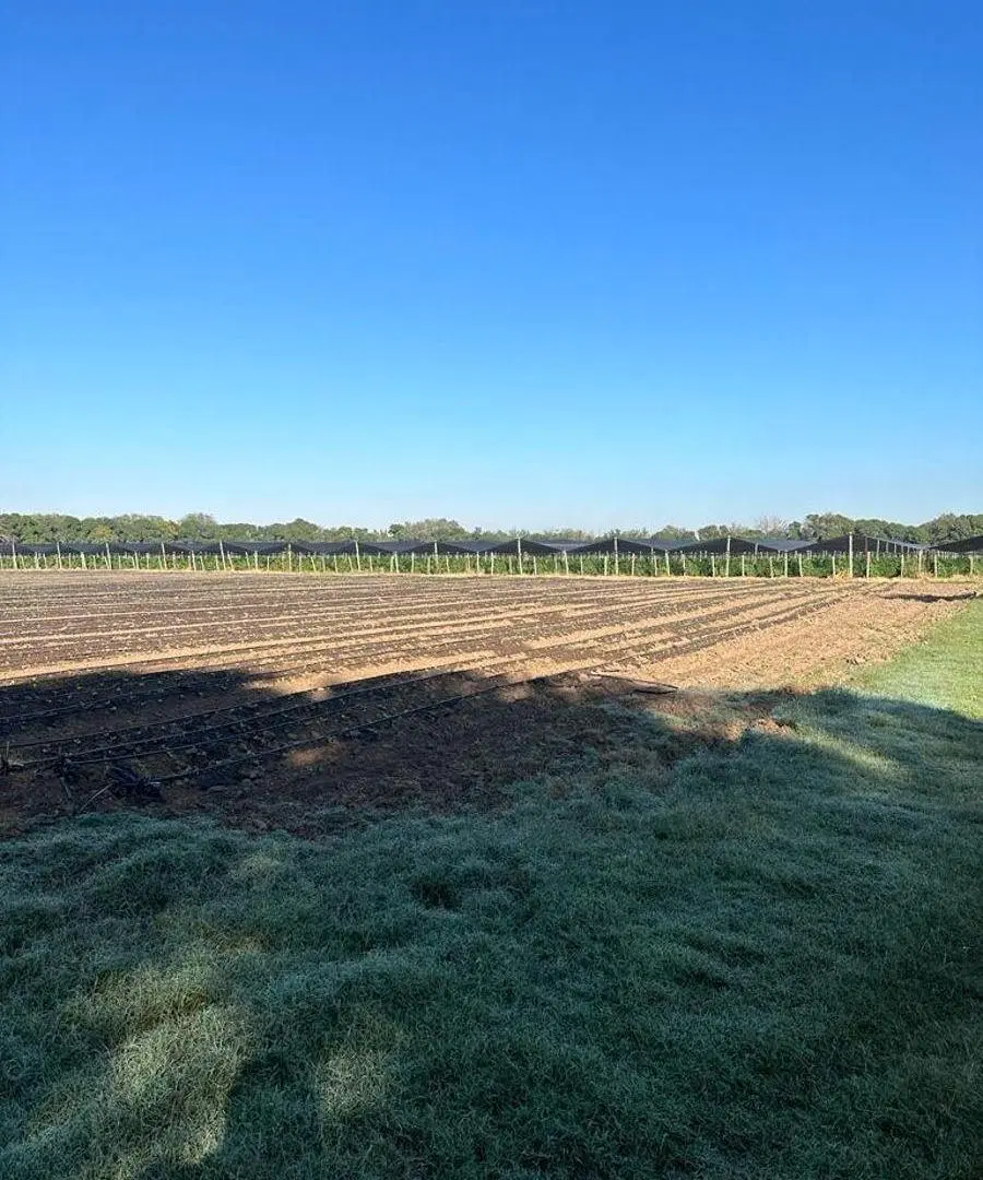 VENTA 9 HECTAREAS VILLA ESQUIU CAMINO A SANTA ROSA 8