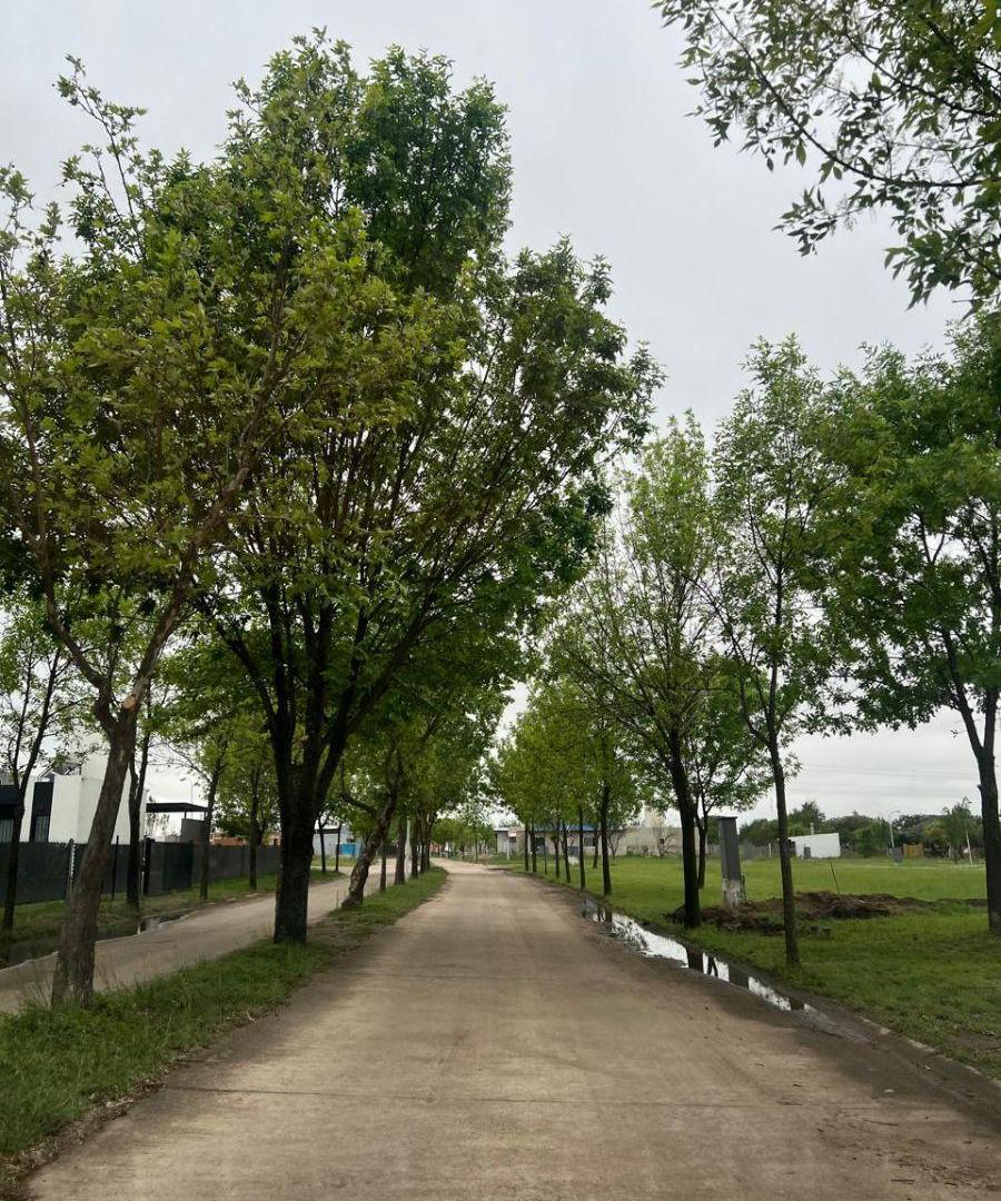Foto de VENTA LOTE 650 m2 Barrio San Francisco, Barrio de Campo - RUTA E-53, imagen 4