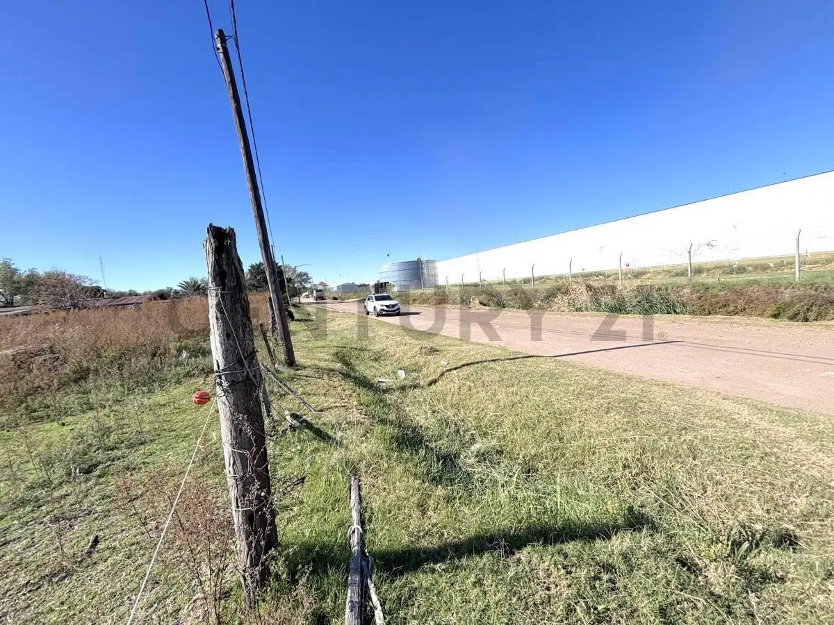 IMPORTANTE LOTE de 7.600 m² a pasos de Ruta Nacional 8 - Venado Tuerto 2