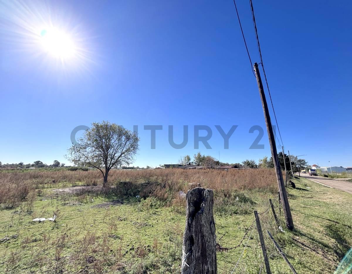 Foto de IMPORTANTE LOTE de 7.600 m² a pasos de Ruta Nacional 8 - Venado Tuerto, imagen 4