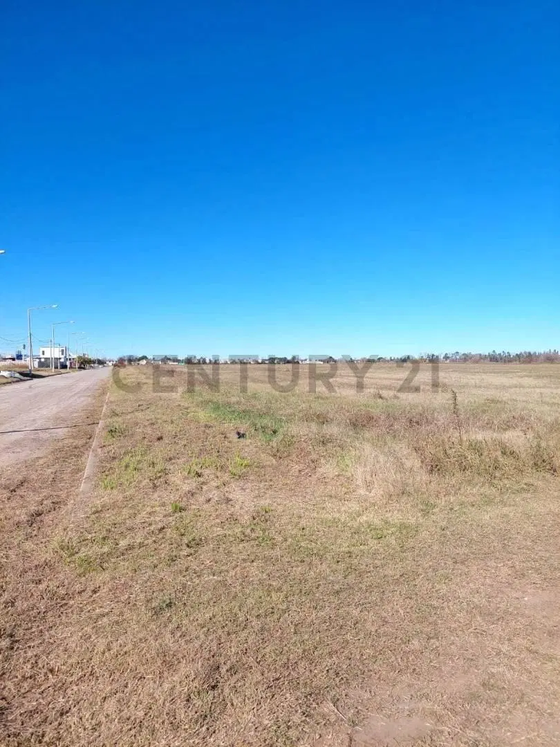 Terreno 7 hectáreas - Venado Tuerto | Zona de mayor crecimiento urbano 2