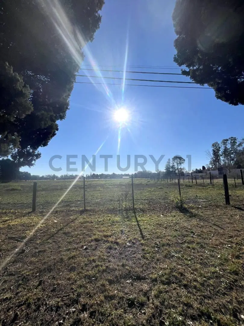 TERRENOS EN VENTA EN BARRIO LOS PINOS-VENADO TUERTO 3