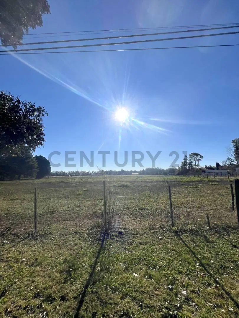 TERRENOS EN VENTA EN BARRIO LOS PINOS-VENADO TUERTO 2