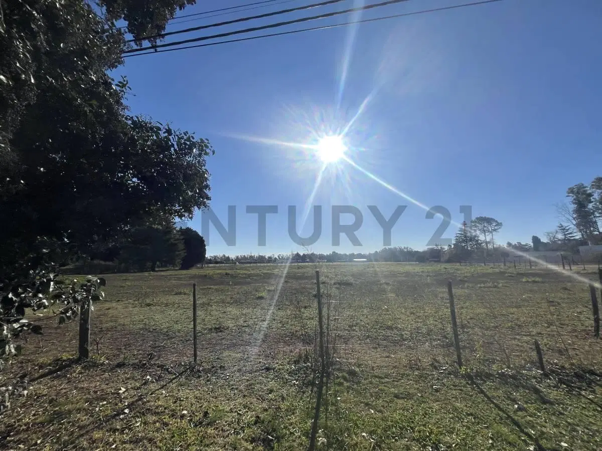 TERRENOS EN VENTA EN BARRIO LOS PINOS-VENADO TUERTO 5