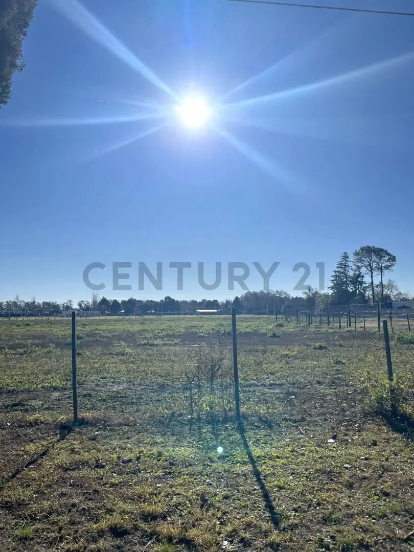 TERRENOS EN VENTA EN BARRIO LOS PINOS-VENADO TUERTO 7