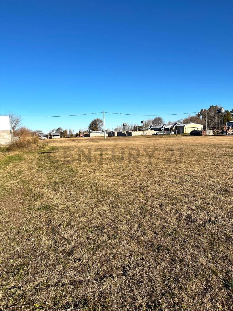 Foto de TERRENO EN VENTA EN AMENABAR, imagen 1