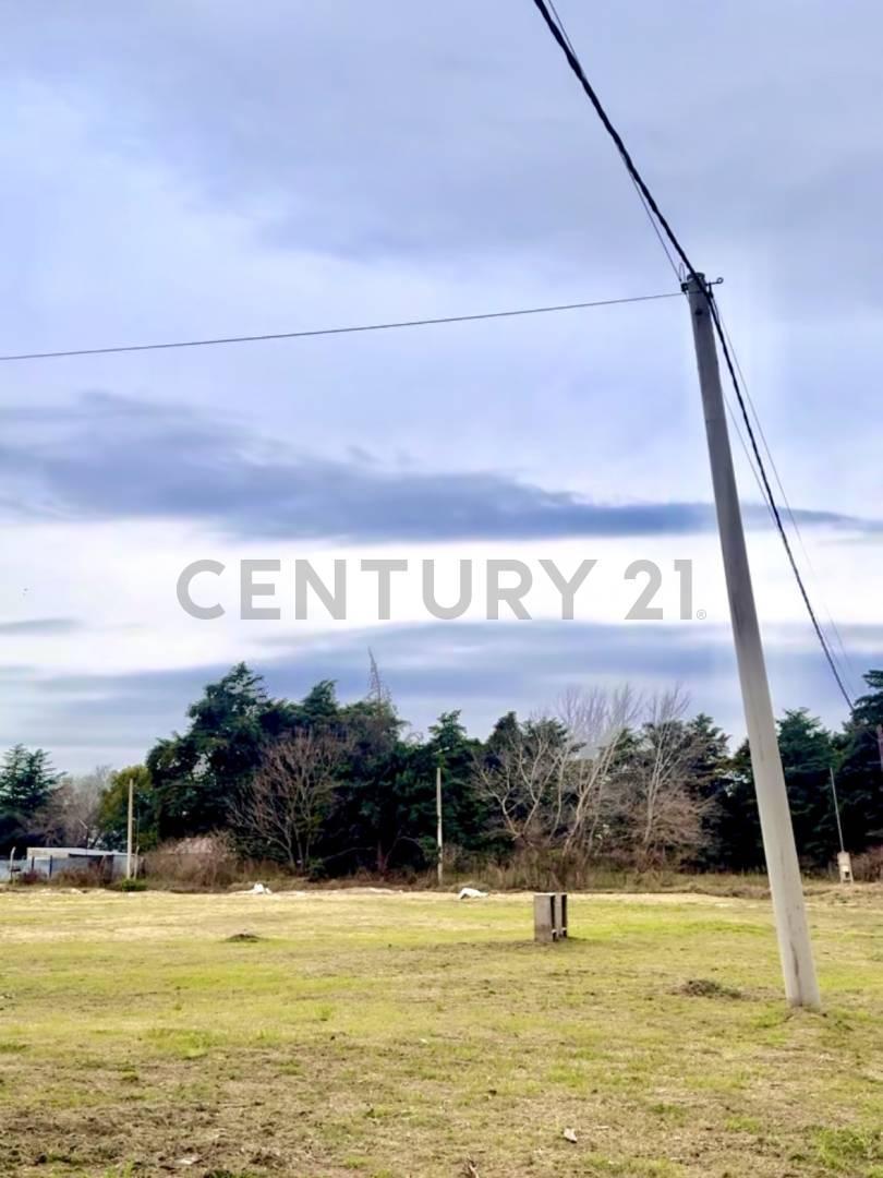 Foto de Terreno de 20x40 sobre Juan Cavanagh frente al Polo Club – VENADO TUERTO, imagen 1