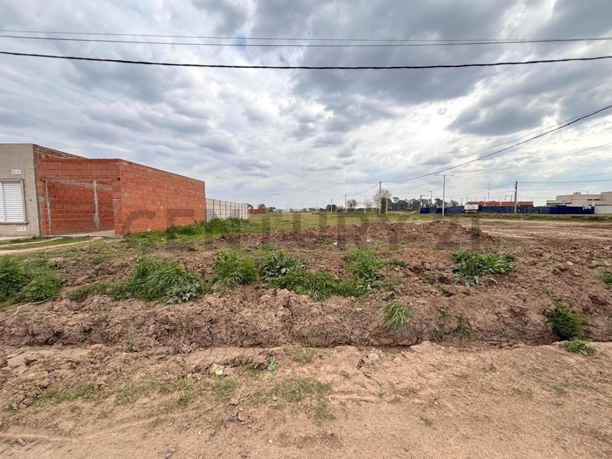 Foto de Terreno en muy buena ubicación- VENADO TUERTO, imagen 5