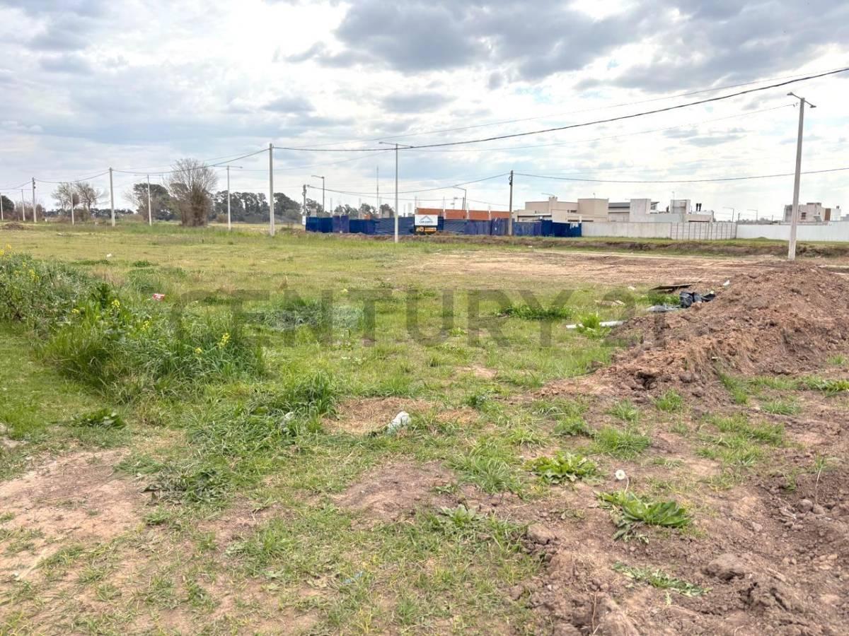 Foto de Terreno en muy buena ubicación- VENADO TUERTO, imagen 2