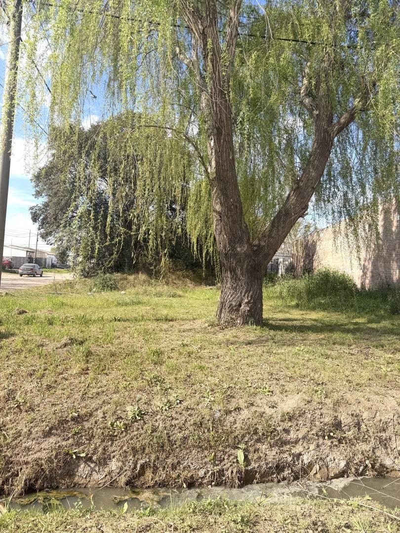Foto de Terreno doble frente en diagonal al futuro Parque Recreativo Norte, imagen 3