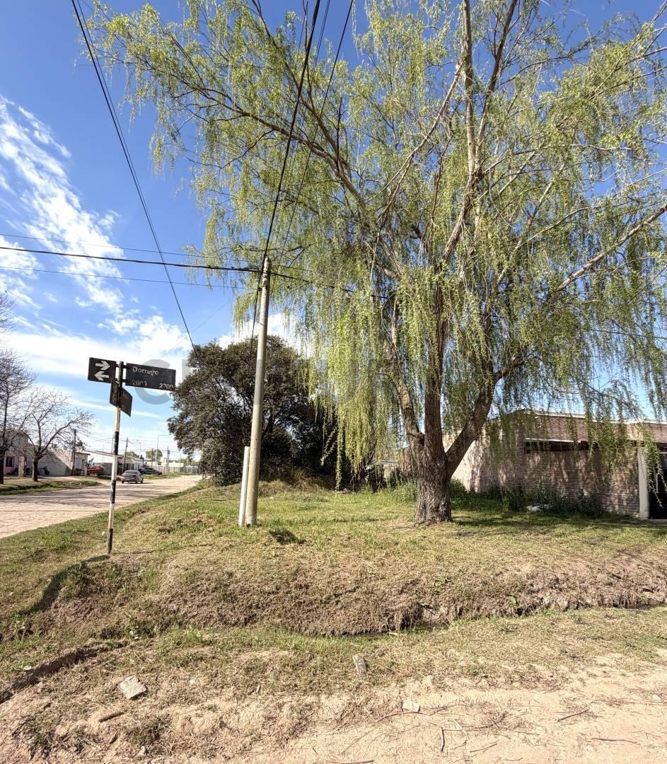 Foto de Terreno doble frente en diagonal al futuro Parque Recreativo Norte, imagen 1