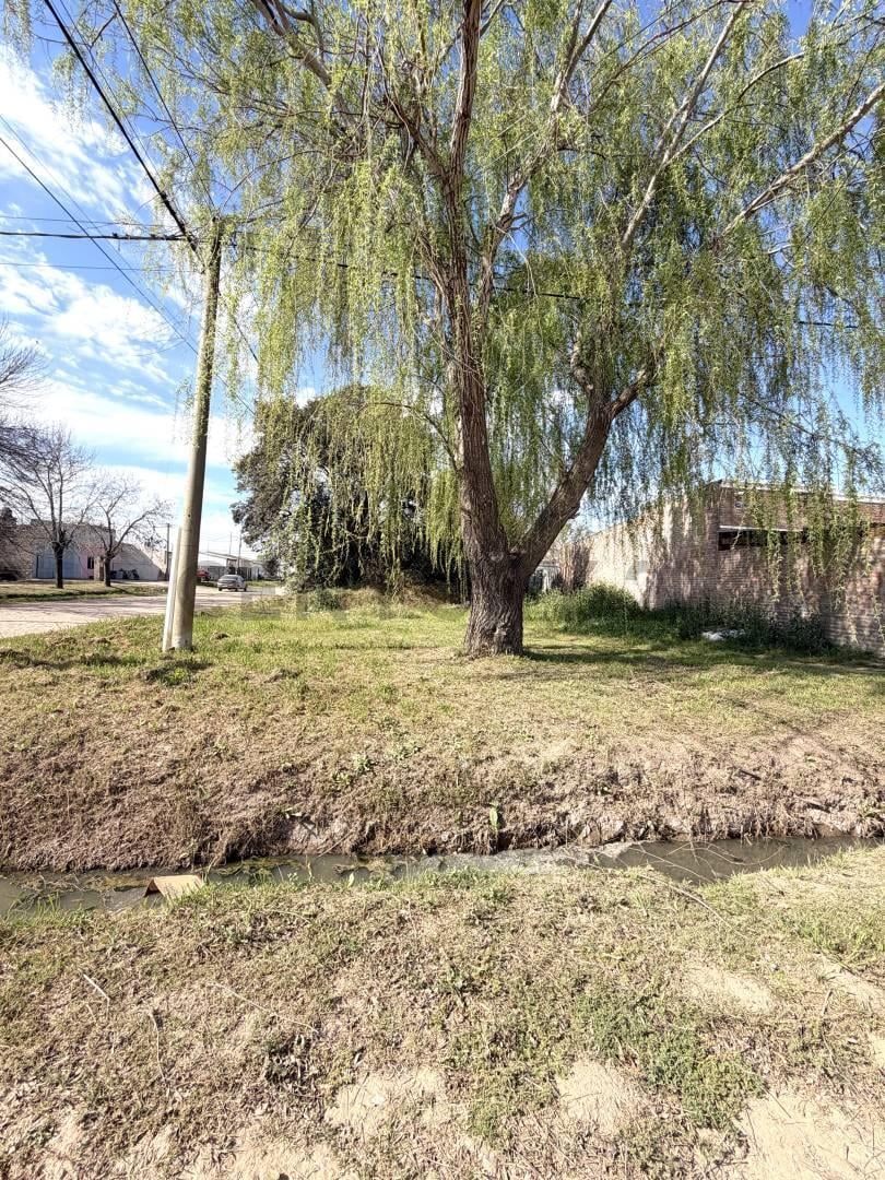 Foto de Terreno doble frente en diagonal al futuro Parque Recreativo Norte, imagen 2