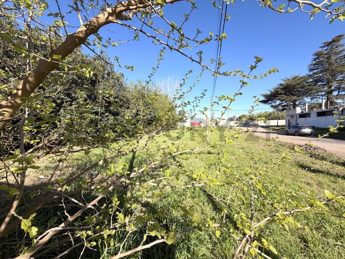 Foto de TERRENO EN ESQUINA CERRITO Y ÁNGEL ETEROVICH - VENADO TUERTO, imagen 5