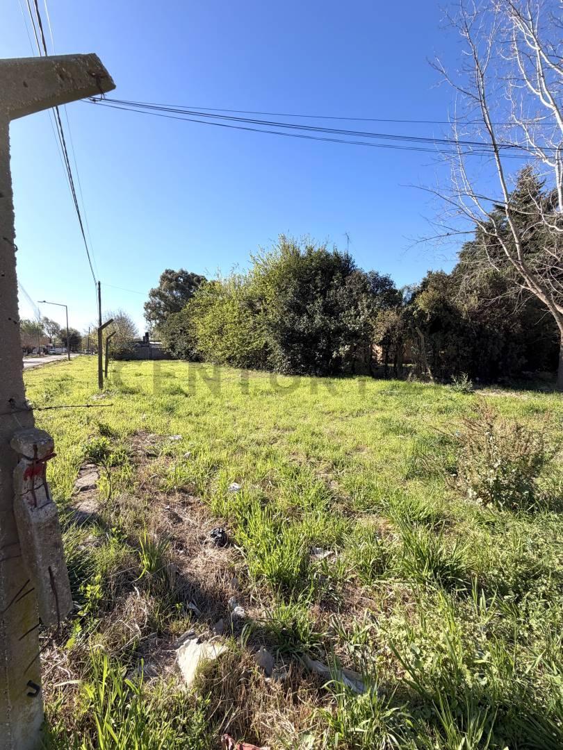 Foto de TERRENO EN ESQUINA CERRITO Y ÁNGEL ETEROVICH - VENADO TUERTO, imagen 3