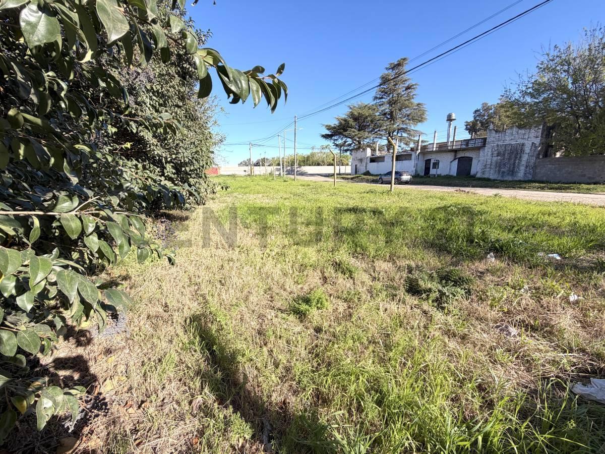 Foto de TERRENO EN ESQUINA CERRITO Y ÁNGEL ETEROVICH - VENADO TUERTO, imagen 2