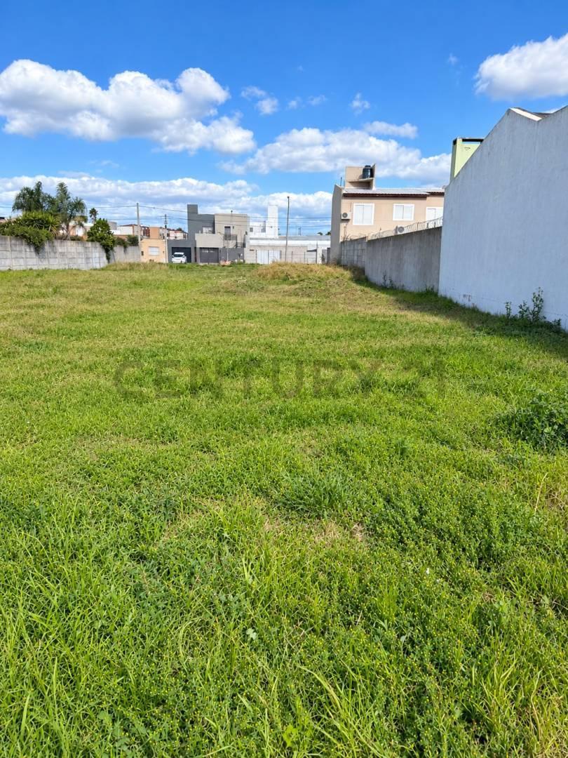 Foto de TERRENO EN VENTA CON TODOS LOS SERVICIOS - VENADO TUERTO, imagen 1