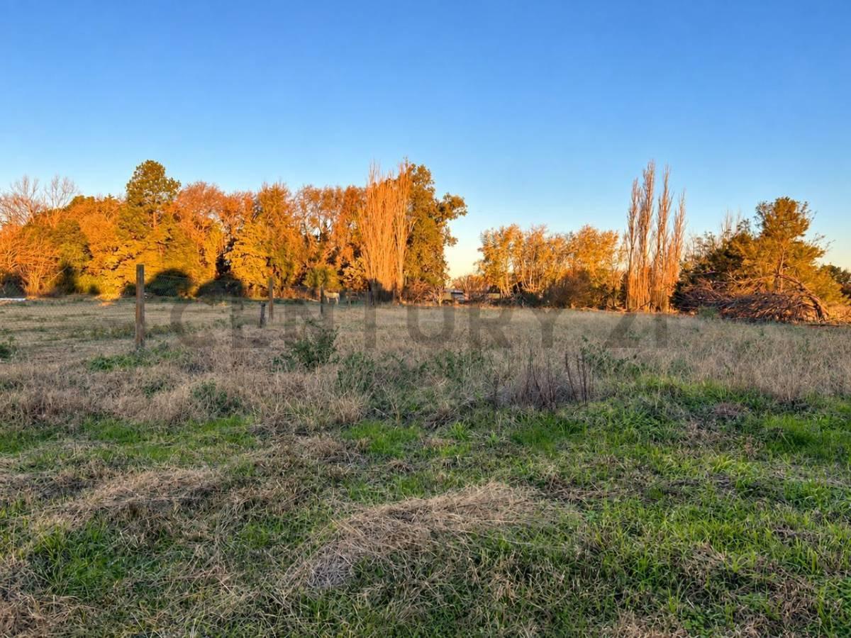 Foto de AMPLIO TERRENO UBICACIÓN ESTRATÉGICA - PRÓXIMO ROTONDA - VENADO TUERTO, imagen 1