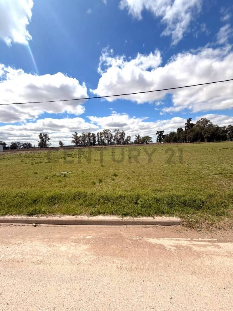 Foto de Lote en Parque Industrial - VENADO TUERTO, imagen 2