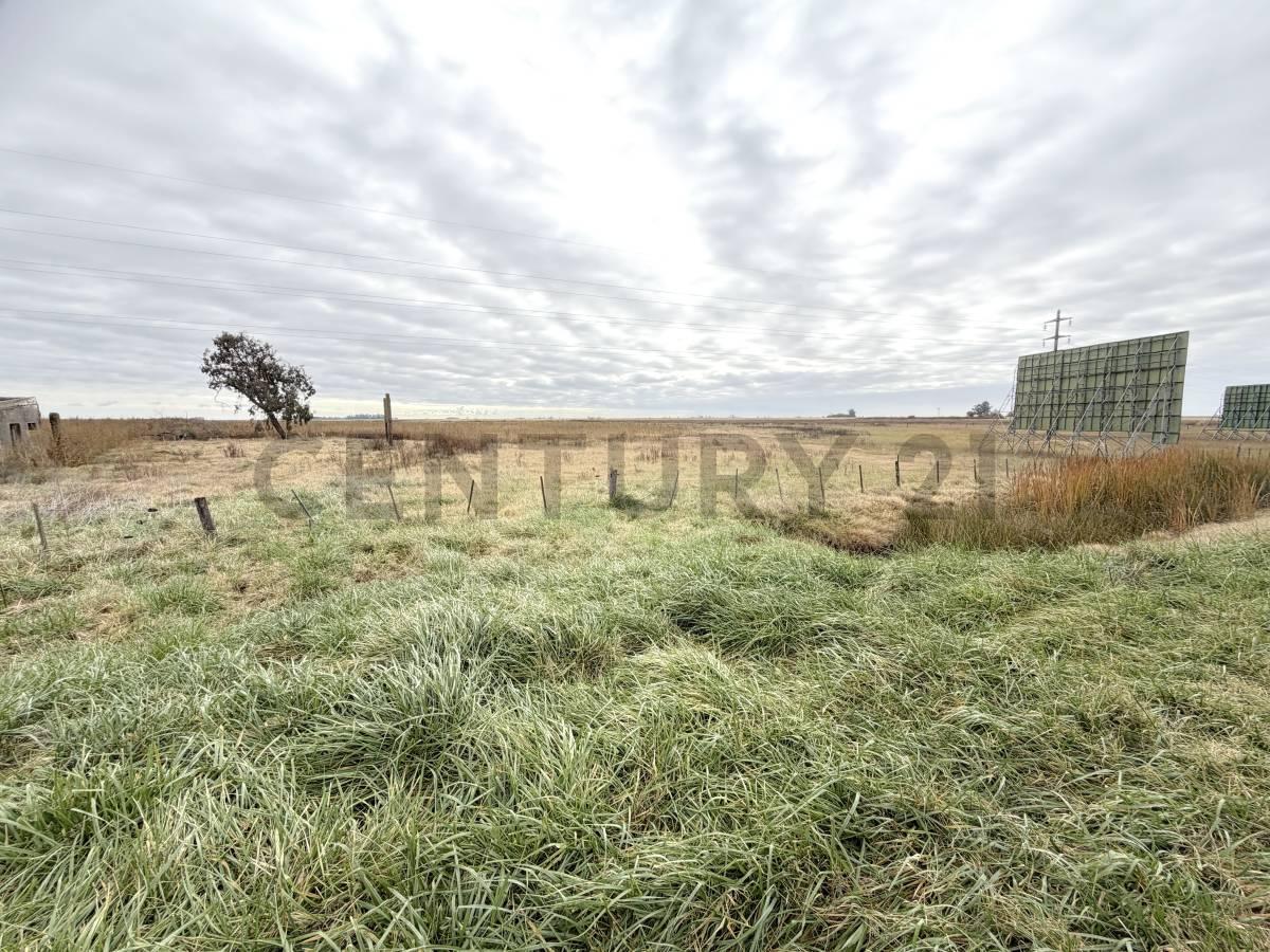Foto de Campo de 8 hectáreas sobre Ruta Nacional 8 con renta publicitaria, imagen 5
