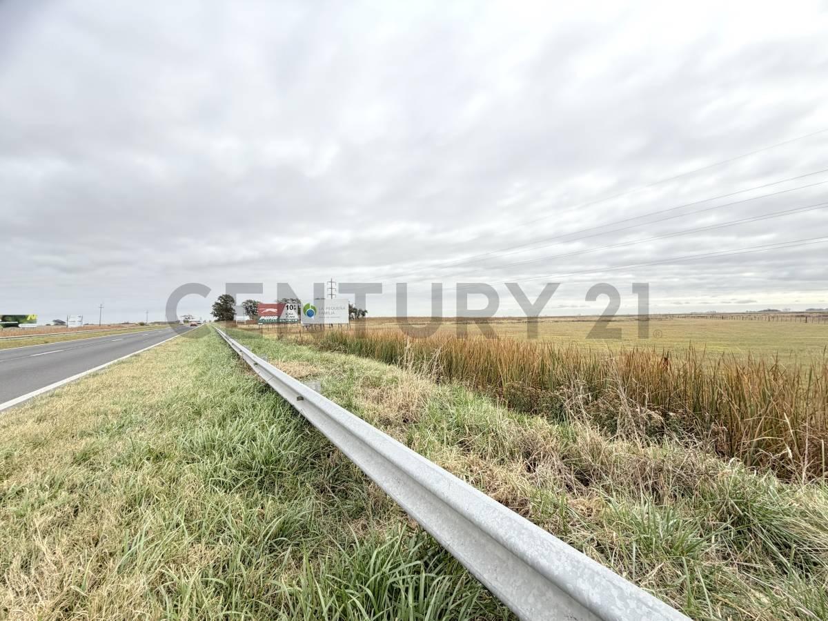 Foto de Campo de 8 hectáreas sobre Ruta Nacional 8 con renta publicitaria, imagen 3