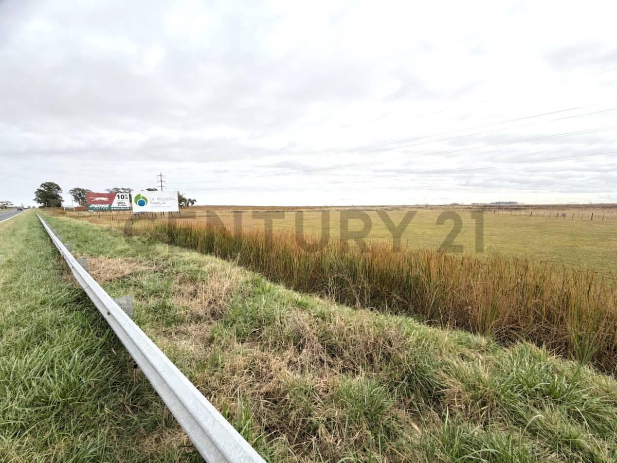 Foto de Campo de 8 hectáreas sobre Ruta Nacional 8 con renta publicitaria, imagen 1