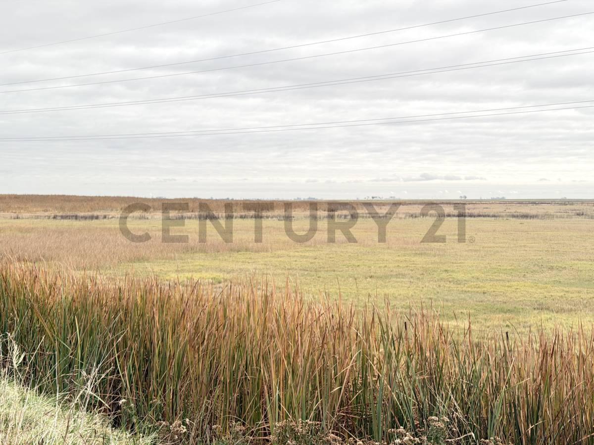 Foto de Campo de 8 hectáreas sobre Ruta Nacional 8 con renta publicitaria, imagen 4