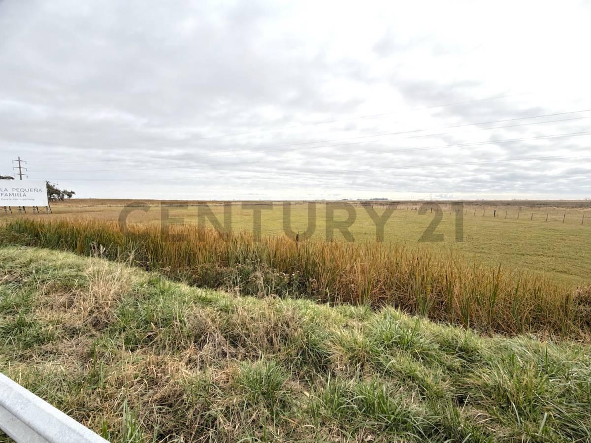 Foto de Campo de 8 hectáreas sobre Ruta Nacional 8 con renta publicitaria, imagen 2
