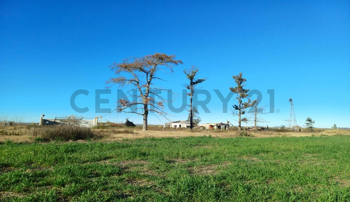 Foto de Campo Mixto en Cañada de Los Leones, imagen 5
