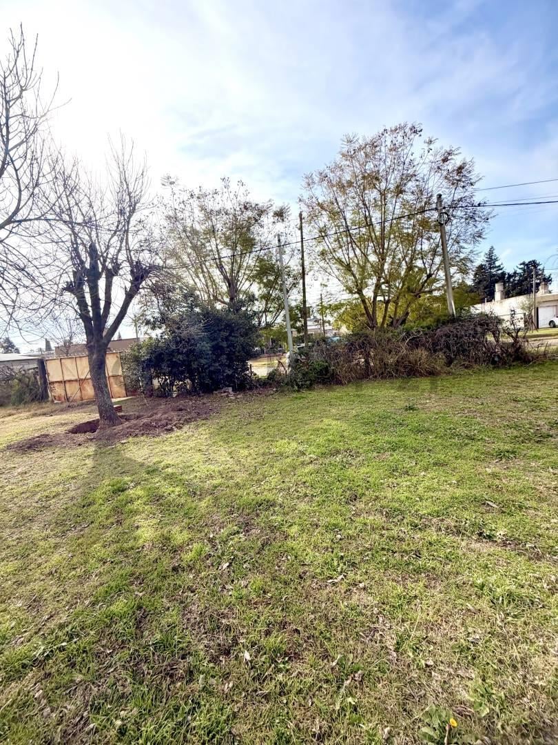 Foto de Terreno en venta | 400 m² para hacer realidad tu proyecto. VENADO TUERTO, imagen 4