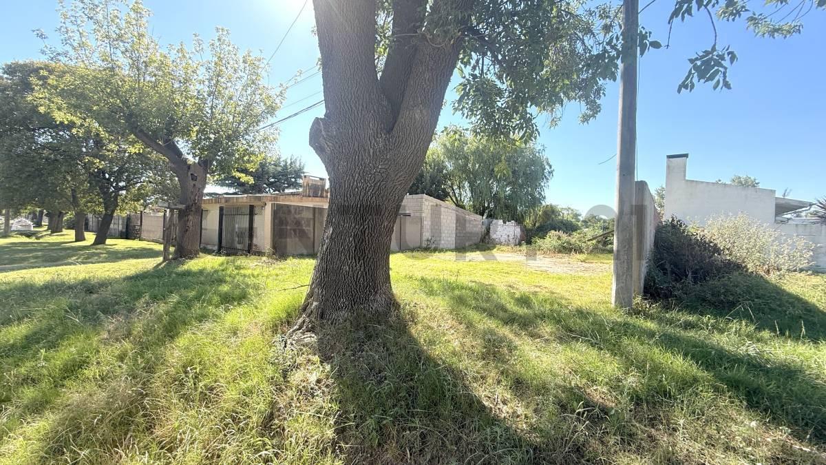 Foto de Terreno con pileta VENADO TUERTO, imagen 4