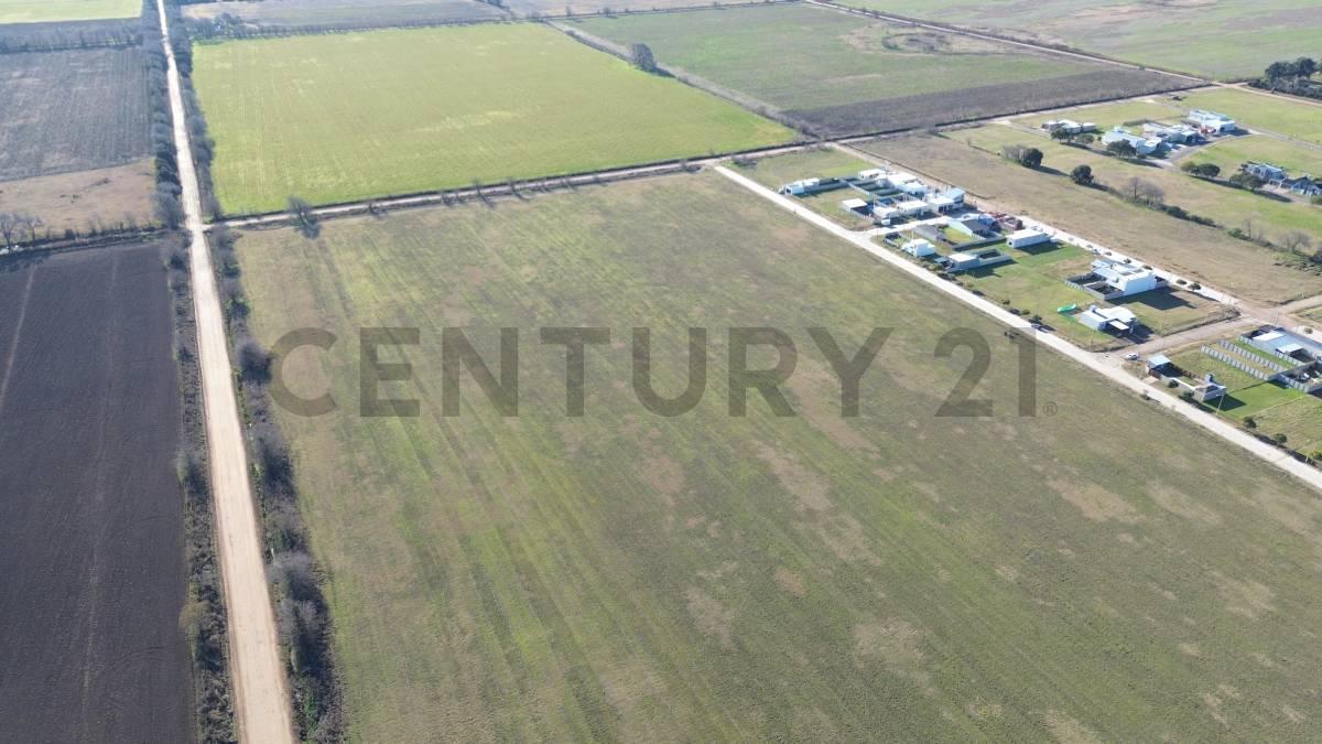 Foto de Terreno 7 hectáreas - Venado Tuerto | Zona de mayor crecimiento urbano, imagen 3