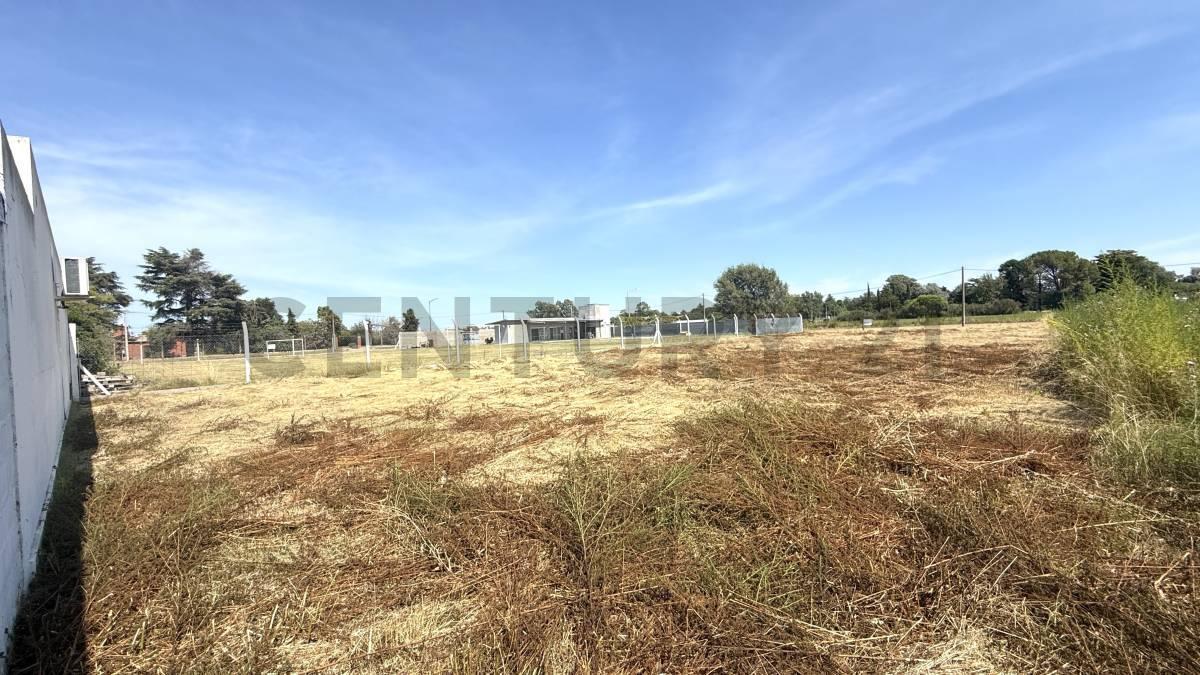 Foto de TERRENO. A METROS DEL POLO CLUB - VENADO TUERTO, imagen 2