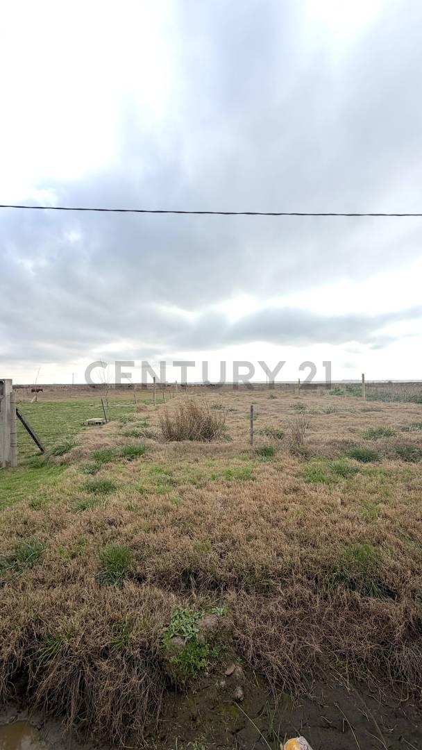 Foto de TERRENO EN VENTA - SAN EDUARDO, imagen 3