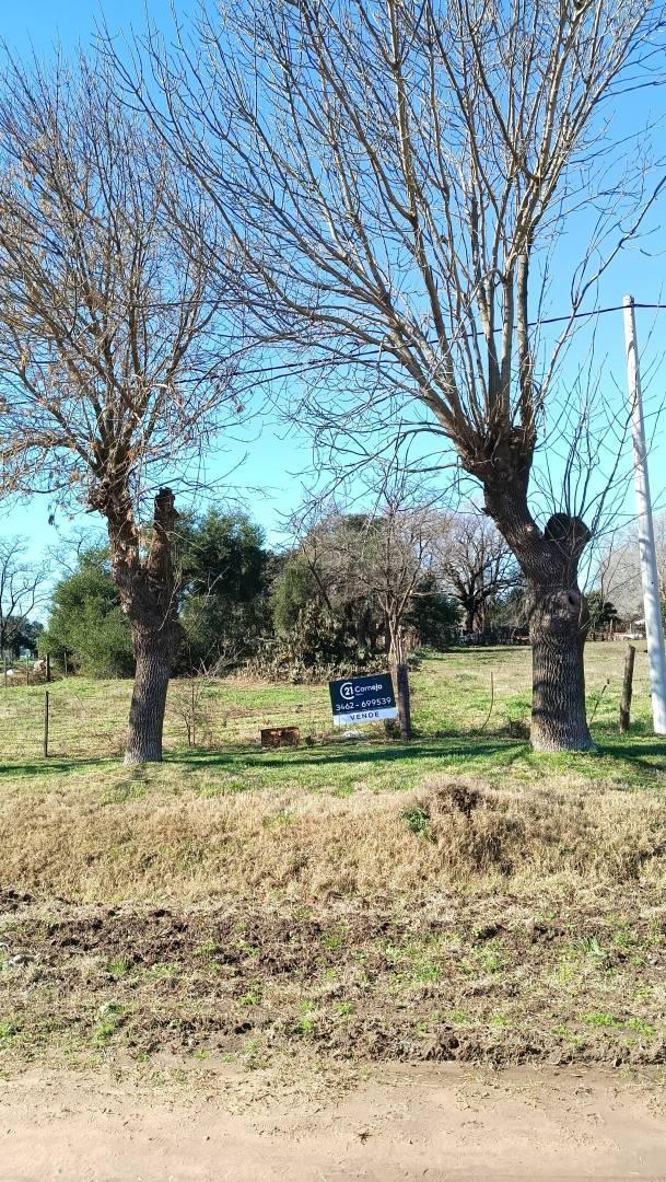 Foto de TERRENO EN VENTA FRENTE A LA LAGUNA - SAN EDUARDO, imagen 5