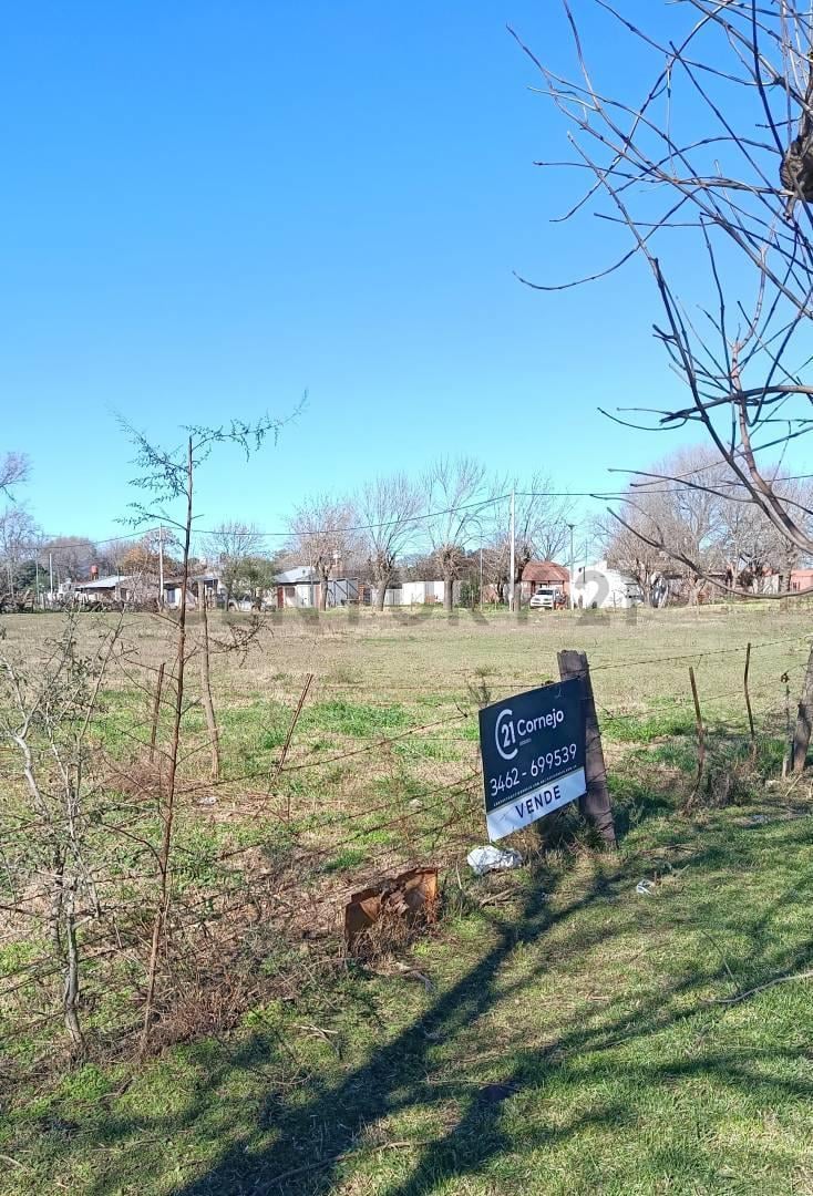 Foto de TERRENO EN VENTA FRENTE A LA LAGUNA - SAN EDUARDO, imagen 4
