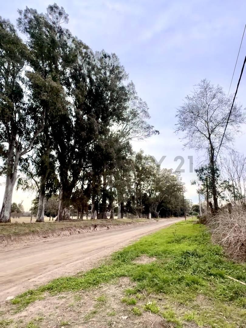 Foto de Terreno de 20x40 sobre Juan Cavanagh frente al Polo Club – VENADO TUERTO, imagen 3