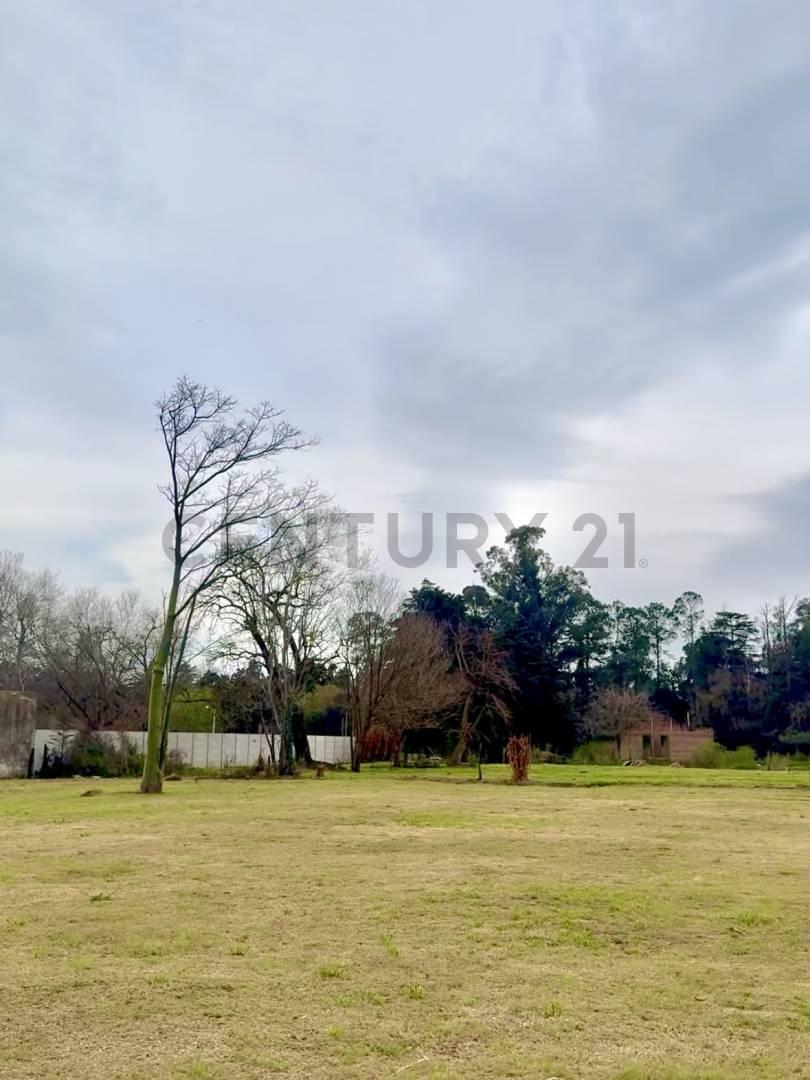 Foto de Terreno de 20x40 sobre Juan Cavanagh frente al Polo Club – VENADO TUERTO, imagen 5