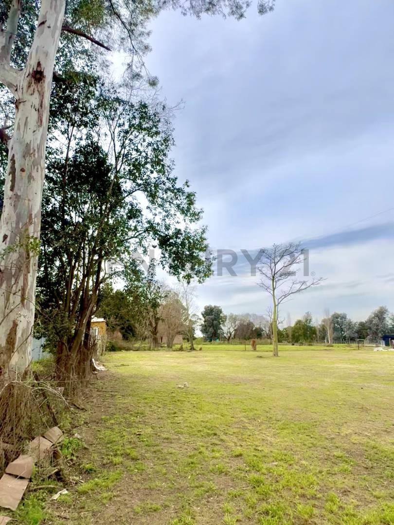 Foto de Terreno frente al Polo Club a metros de Av Juan Cavanagh | Gas natural, imagen 2