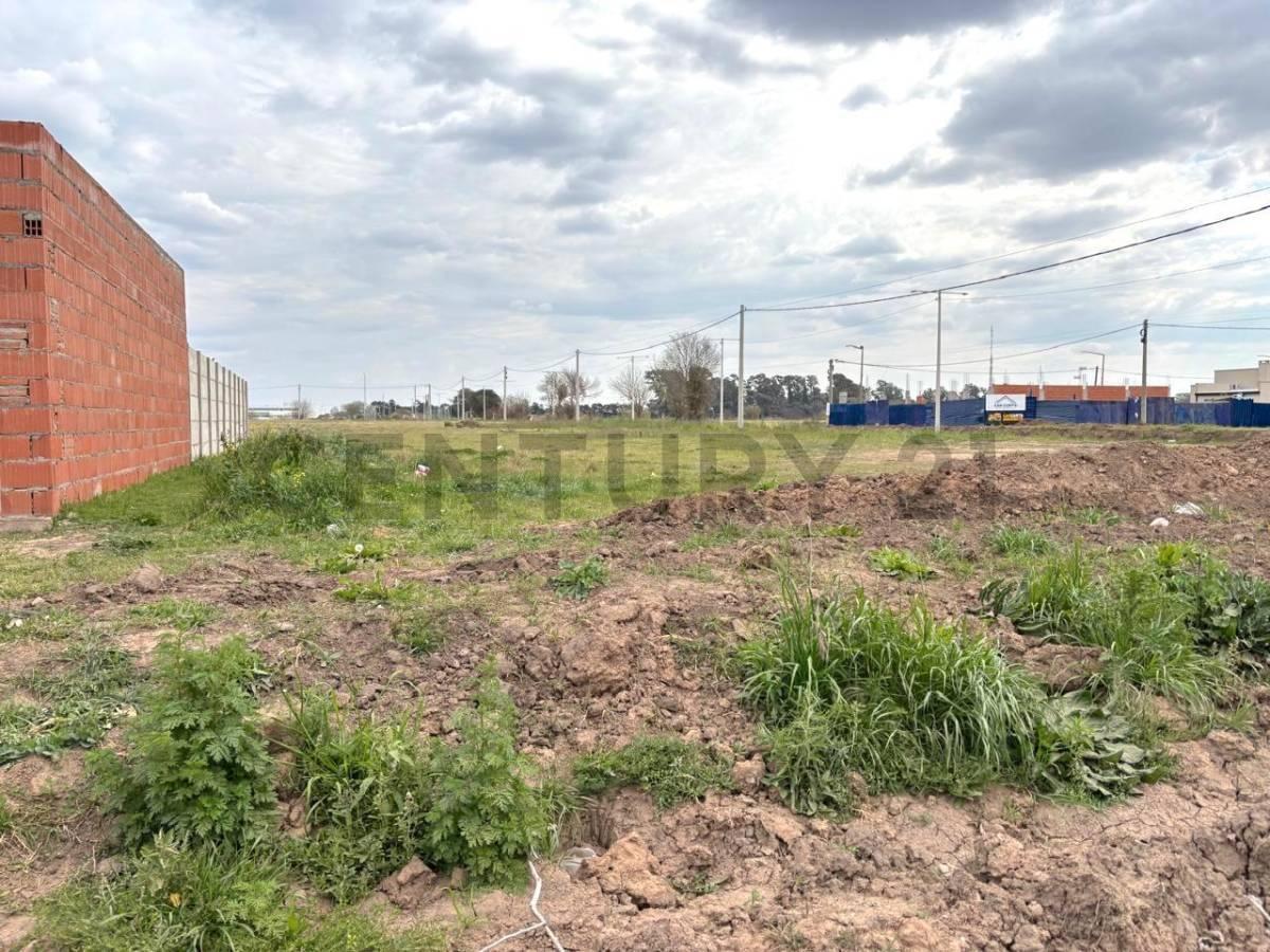 Foto de Terreno en muy buena ubicación- VENADO TUERTO, imagen 1