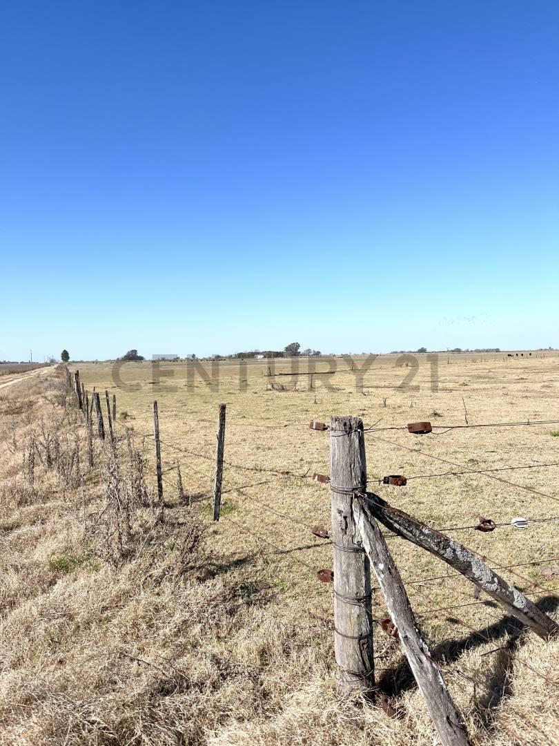 Foto de CAMPO - 20 HA - ELORTONDO, imagen 5