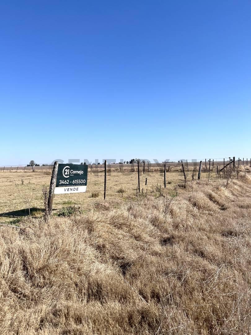 Foto de CAMPO - 20 HA - ELORTONDO, imagen 2