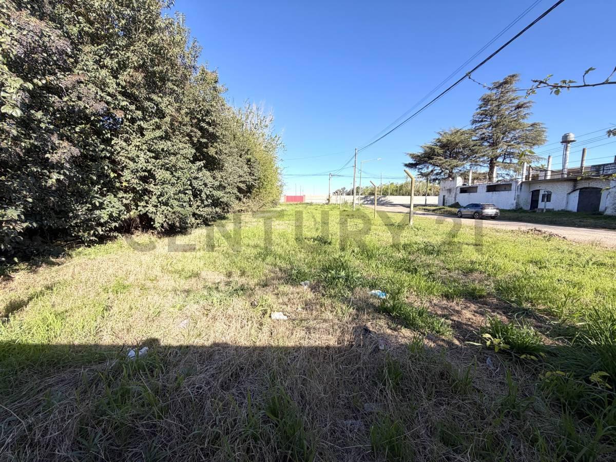Foto de TERRENO EN ESQUINA CERRITO Y ÁNGEL ETEROVICH - VENADO TUERTO, imagen 4