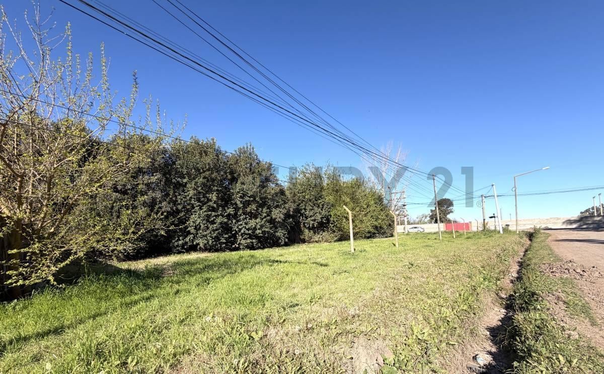 Foto de TERRENO EN ESQUINA CERRITO Y ÁNGEL ETEROVICH - VENADO TUERTO, imagen 5