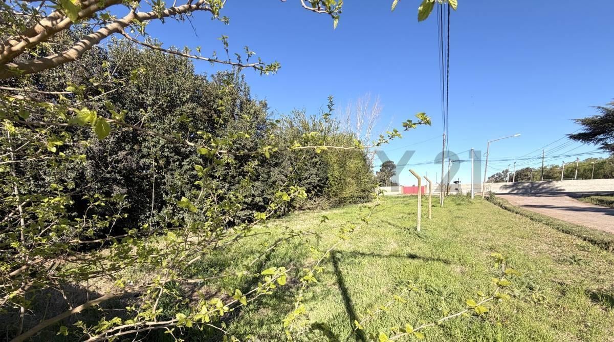 Foto de TERRENO CERRITO Y ÁNGEL ETEROVICH - VENADO TUERTO, imagen 4