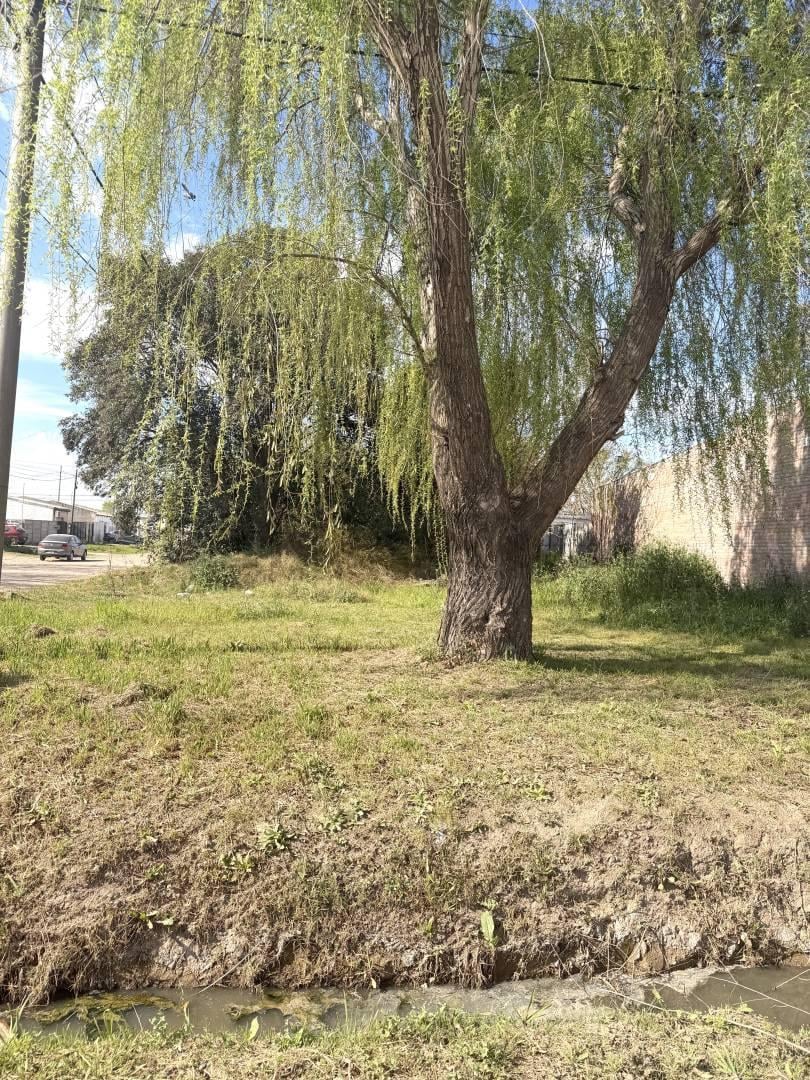 Foto de Terreno doble frente en diagonal al futuro Parque Recreativo Norte, imagen 3