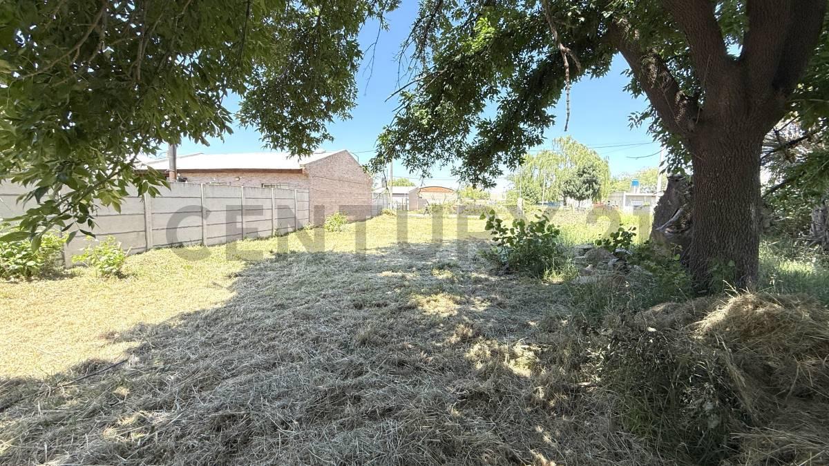 Foto de TERRENO EN VENTA BARRIO EL CRUCE - VENADO TUERTO, imagen 3