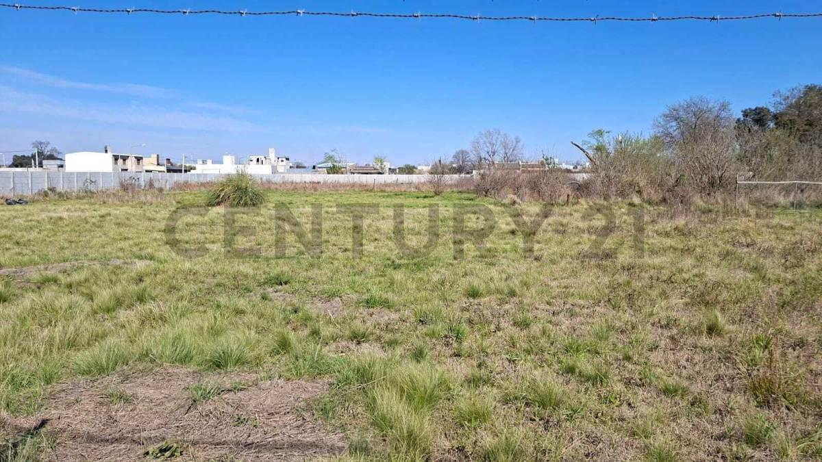 Foto de TERRENO EN VENTA EN BARRIO CIUDAD NUEVA - VENADO TUERTO, imagen 4